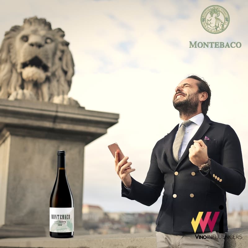 Montebaco Parcela Cara Norte 2016 - Bodegas Montebaco - D.O. Ribera del Duero