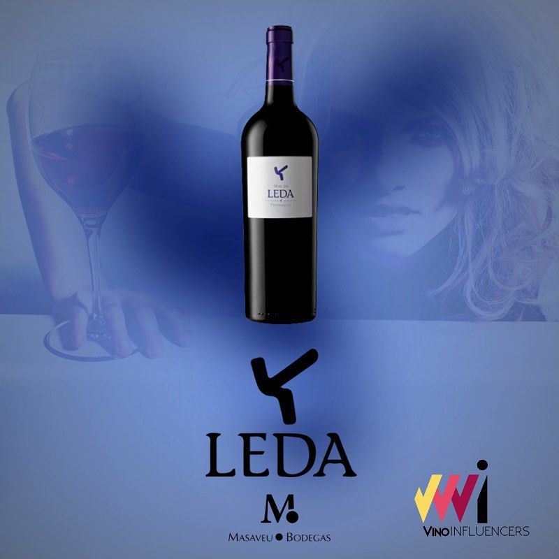 Mas de Leda - Masaveu Bodegas