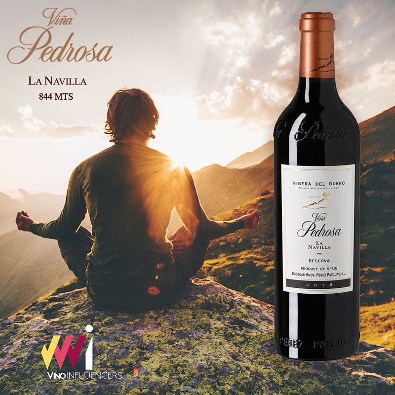 Finca la Navilla - Bodega Viña Pedrosa - D.O. Ribera del Duero