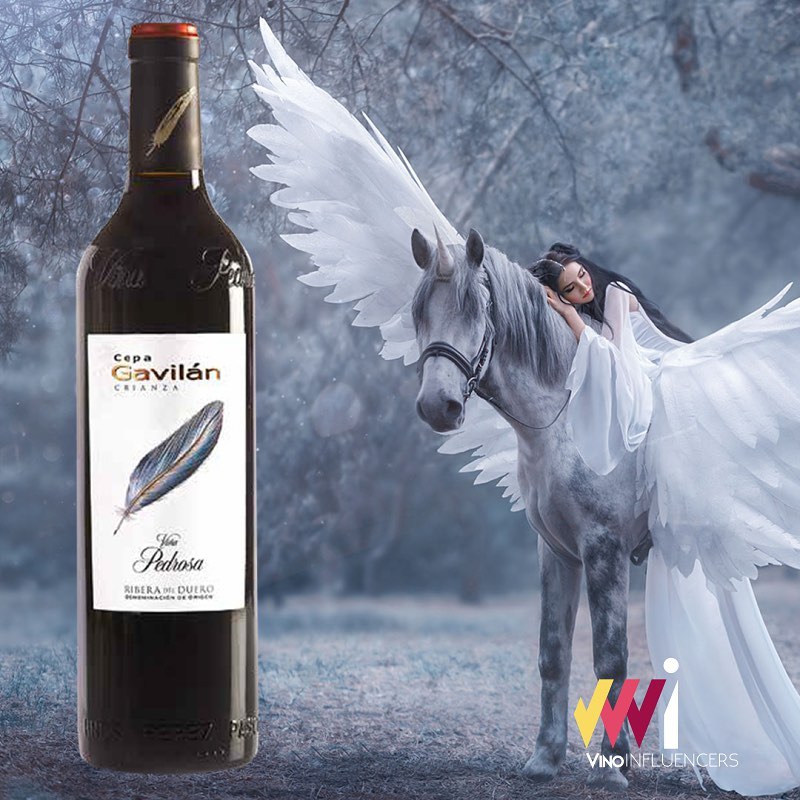 Cepa Gavilán - Bodega Viña Pedrosa - D.O. Ribera del Duero