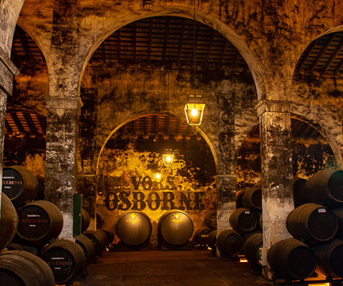 VISITA GUIADA A BODEGAS DE MORA PREMIUM 